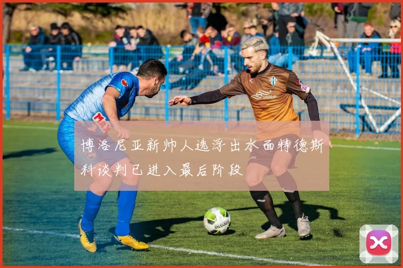 博洛尼亚新帅人选浮出水面特德斯科谈判已进入最后阶段